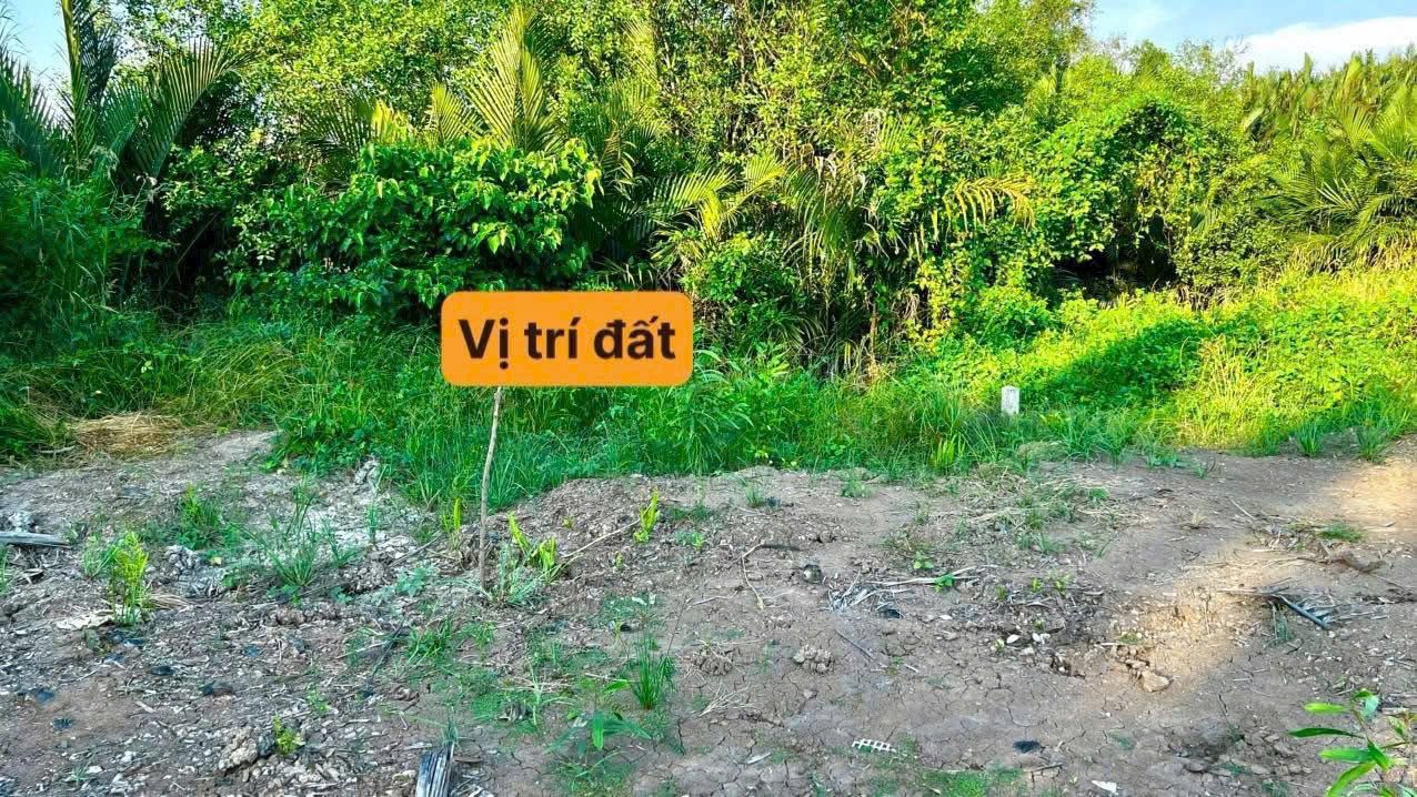 Đất Vườn Ngay Cảng QT Long An Giá Chỉ 200tr