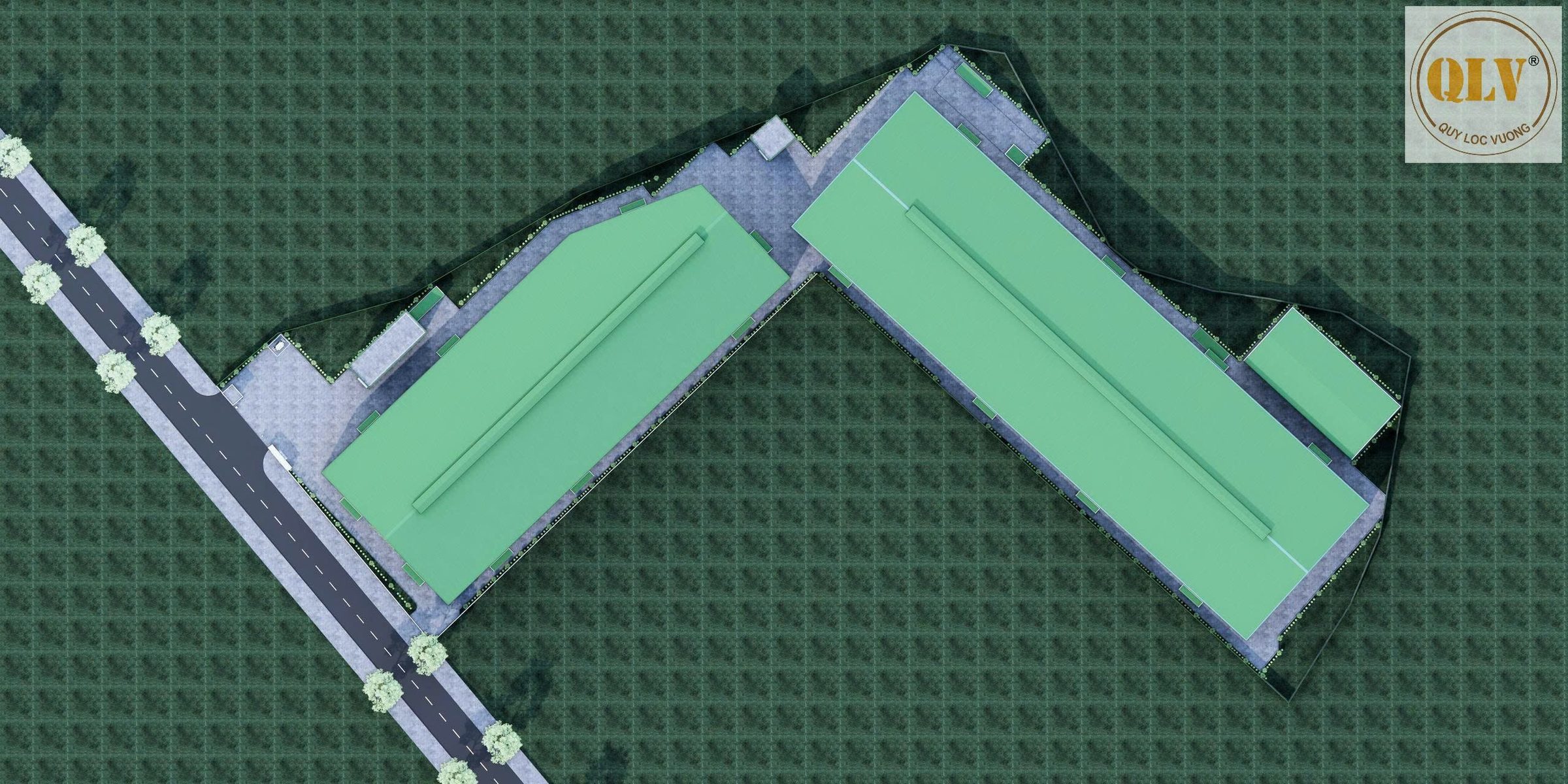 Hình 5