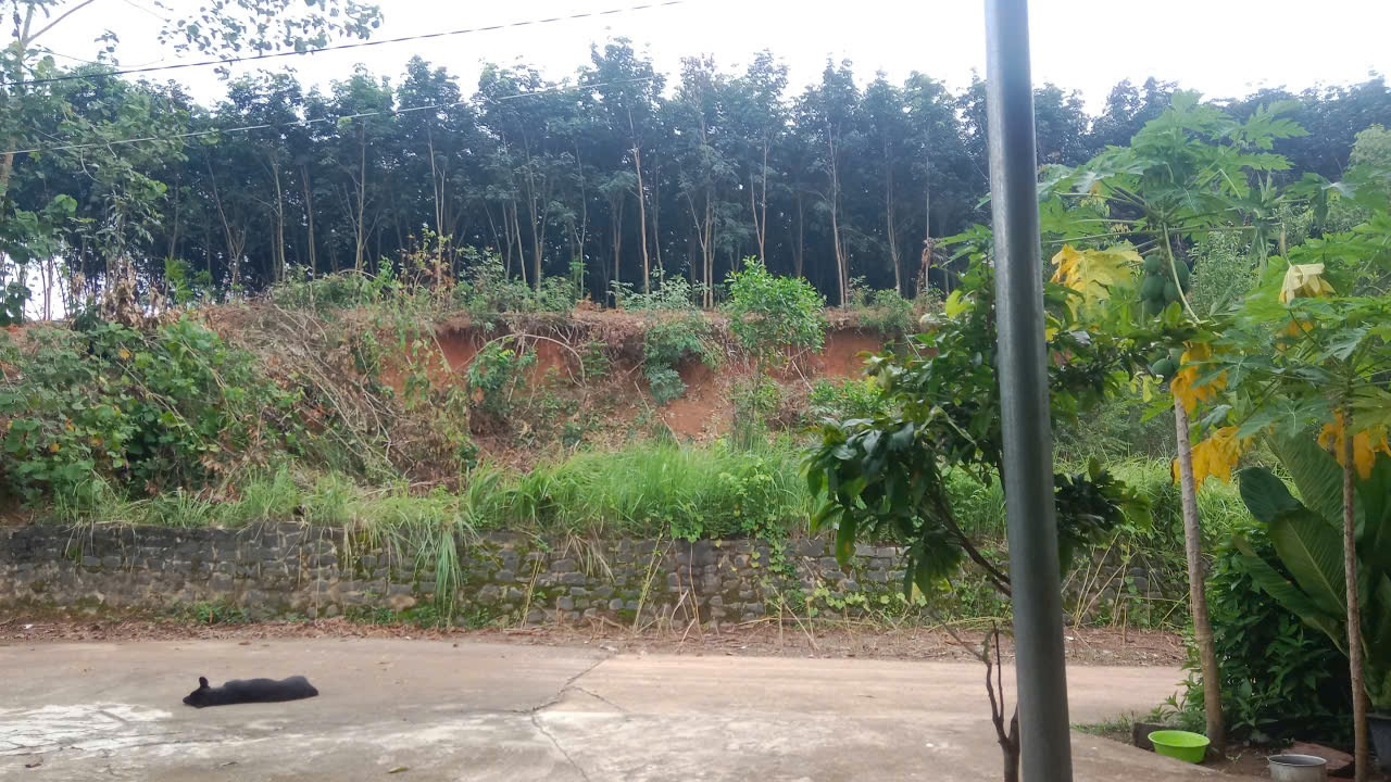 BÁN ĐẤT THỔ CƯ TÂN THÀNH, ĐỒNG XOÀI, BÌNH PHƯỚC