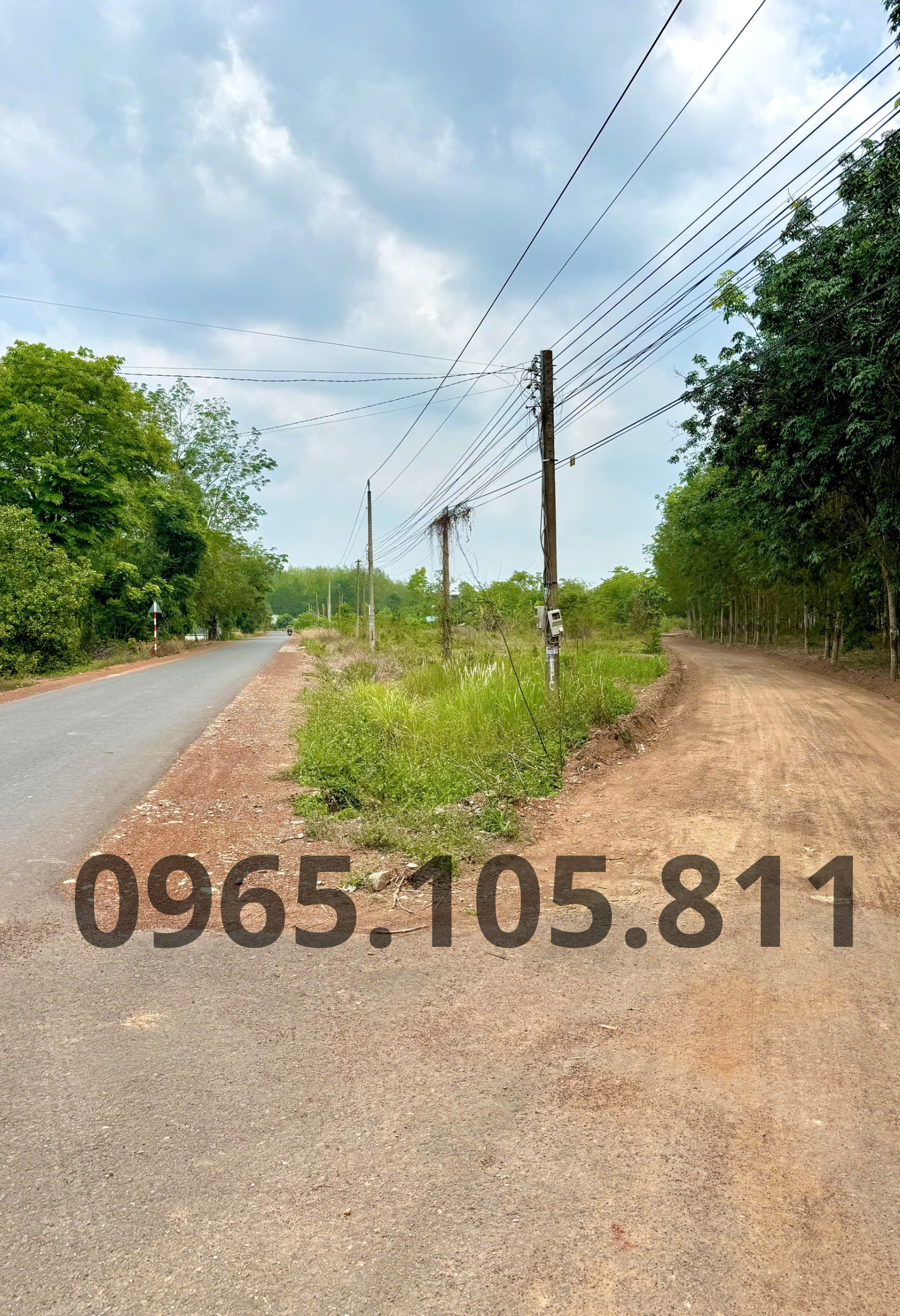 Sỉ lẻ 21 nền thổ cư phường Đồng Xoài đối diện KCN Đồng Xoài, sau lưng chợ Tân Thành. Giá 300tr
