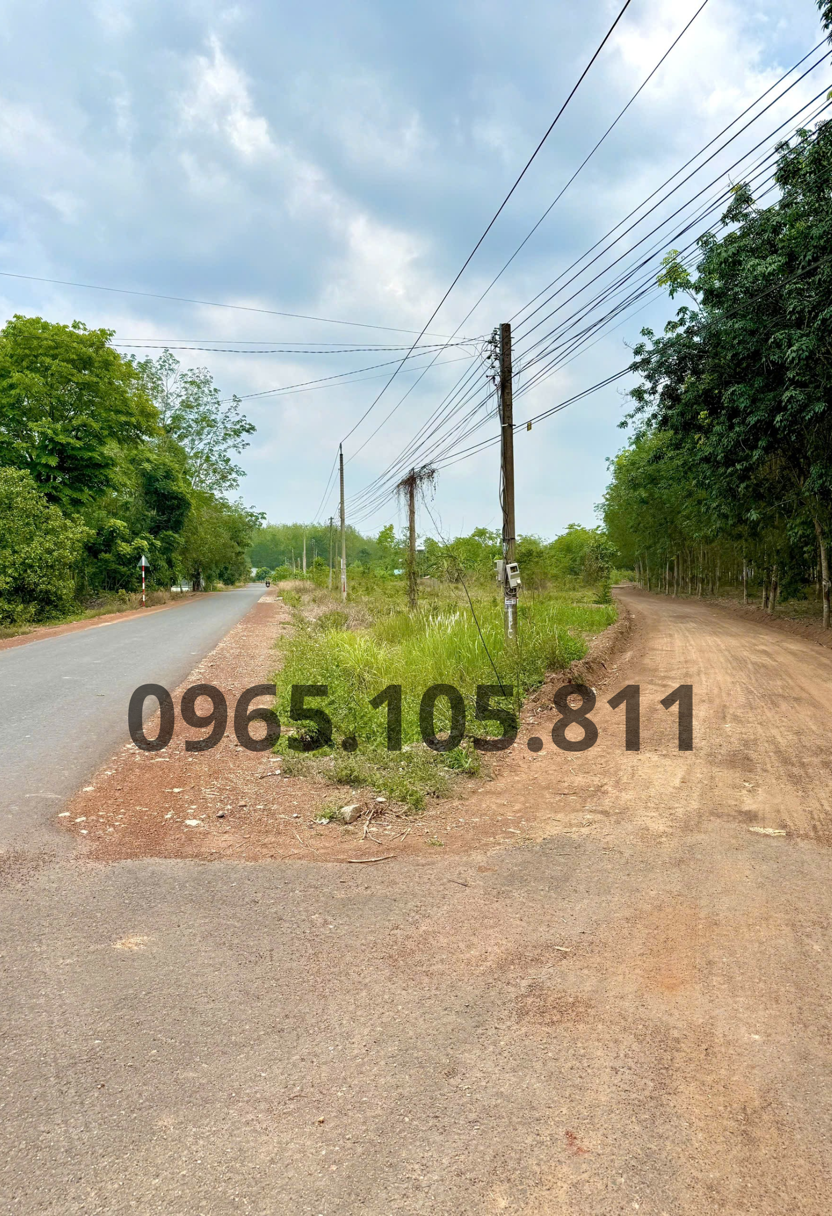 Sỉ lẻ 21 nền thổ cư phường Đồng Xoài đối diện KCN Đồng Xoài, sau lưng chợ Tân Thành. Giá 300tr
