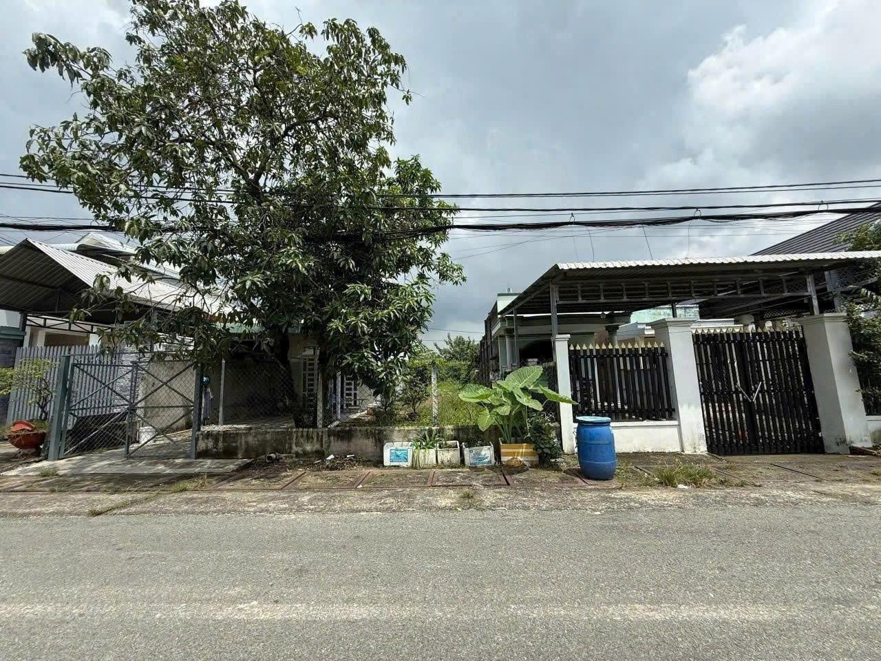 ĐẤT 173M2 TÂN THÔNG HỘI. SHR. THỔ CƯ FULL. 750 TRIỆU