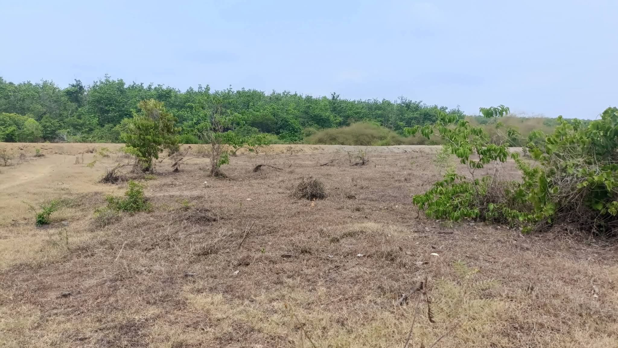 Bán đất 5000m² ngang 100m giá 150 triệu tại Xã Tân Tiến, Đồng Nai