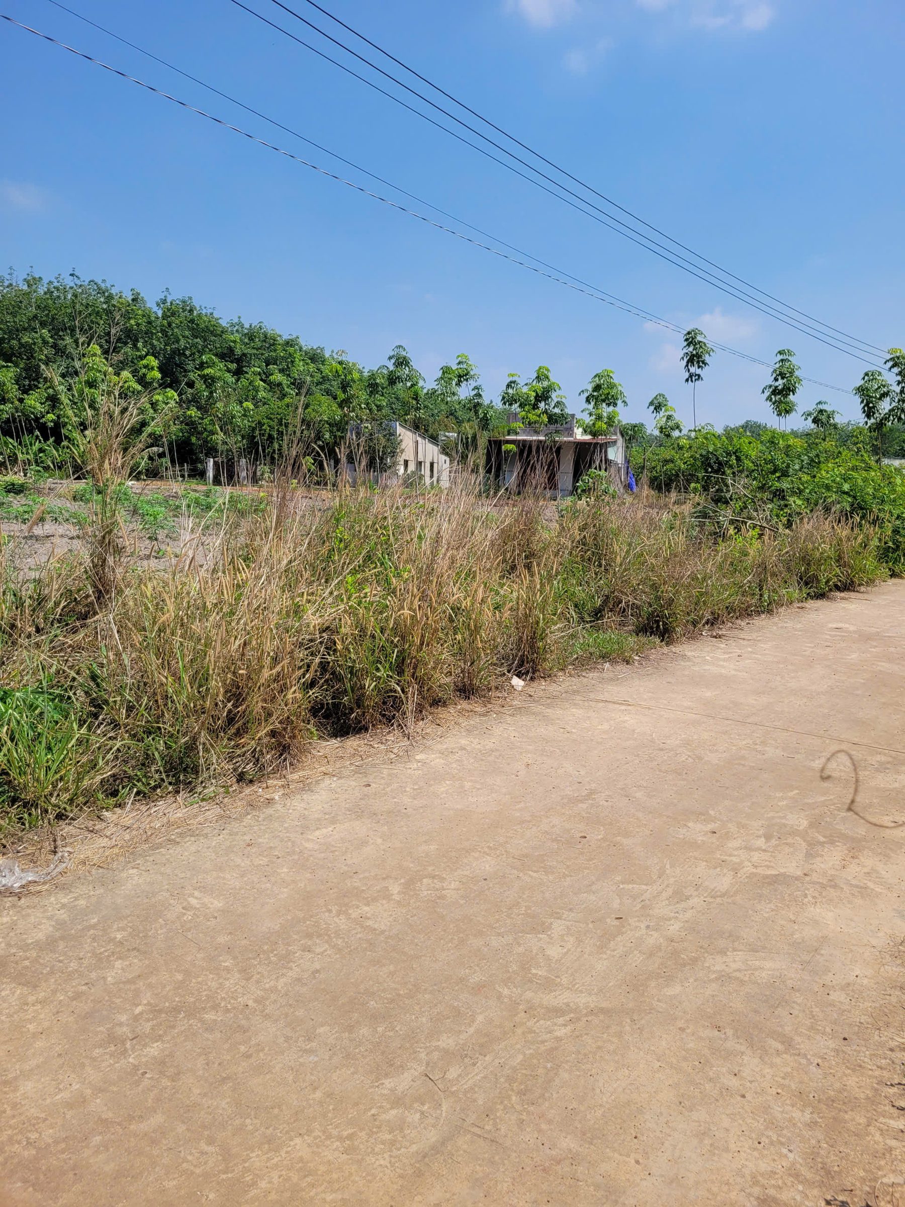 Bán Đất 250m² thổ cư 100m² giá 430 triệu tại Xã Tân Tiến Huyện Đồng Phú Bình Phước