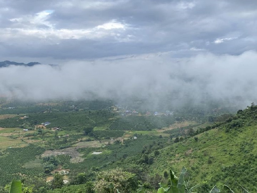[BỎ PHỐ VỀ RỪNG] ĐẤT VIEW ĐỒI NÚI TRIỆU ĐÔ TẠI TÂN VĂN – LÂM HÀ!