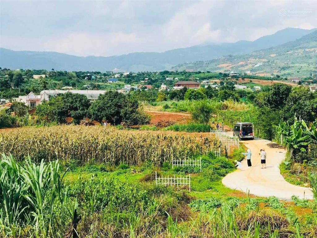Quỹ đất đẹp xã Tân Văn, Lâm Hà | 3.965,2m² có 1.580m² đất ở