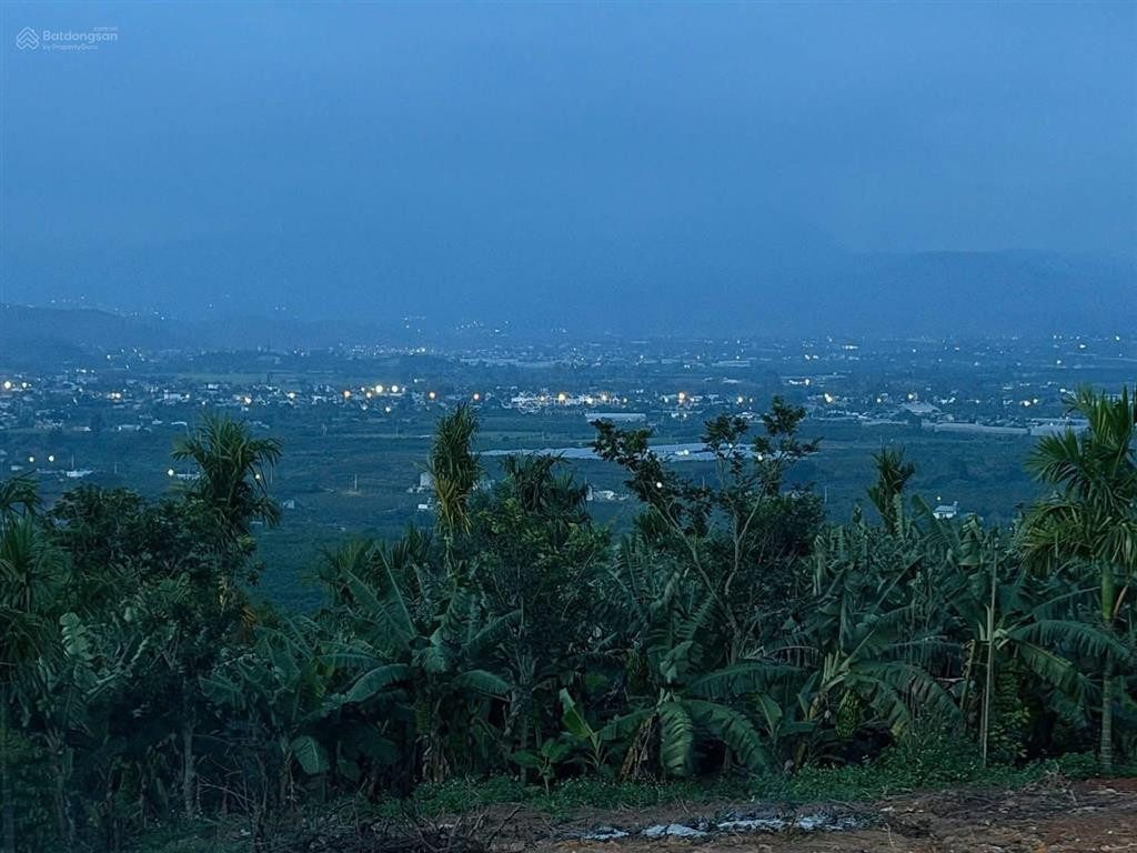 Quỹ đất đầu tư đẹp tại xã Tân Văn, Lâm Hà | 8.423,7m² có 3.000m² đất ở, giá 70 tỷ