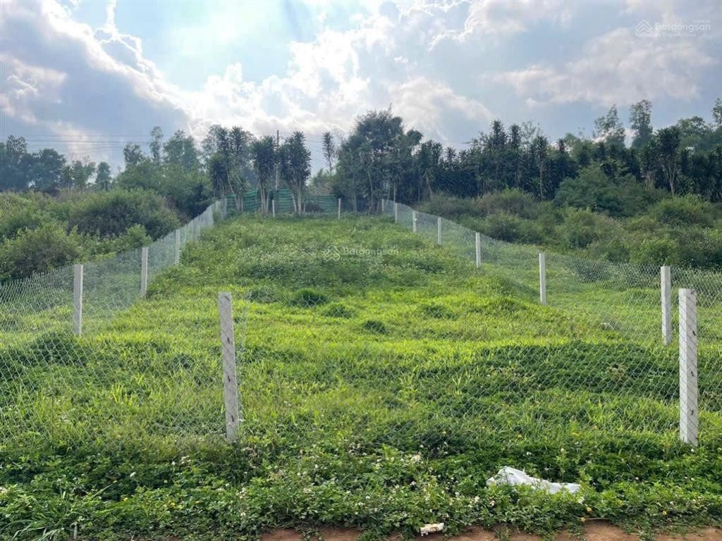 2,4ha đẹp như tranh giữa Tân Văn – Quỹ đất đáng để xuống tiền trước khi mặt bằng giá thay đổi
