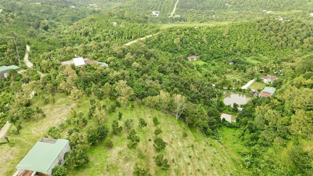 Quỹ đất 1,7ha tại Tân Văn, Lâm Hà – Có sẵn đất ở, giá trị khai thác cao, đáng sở hữu