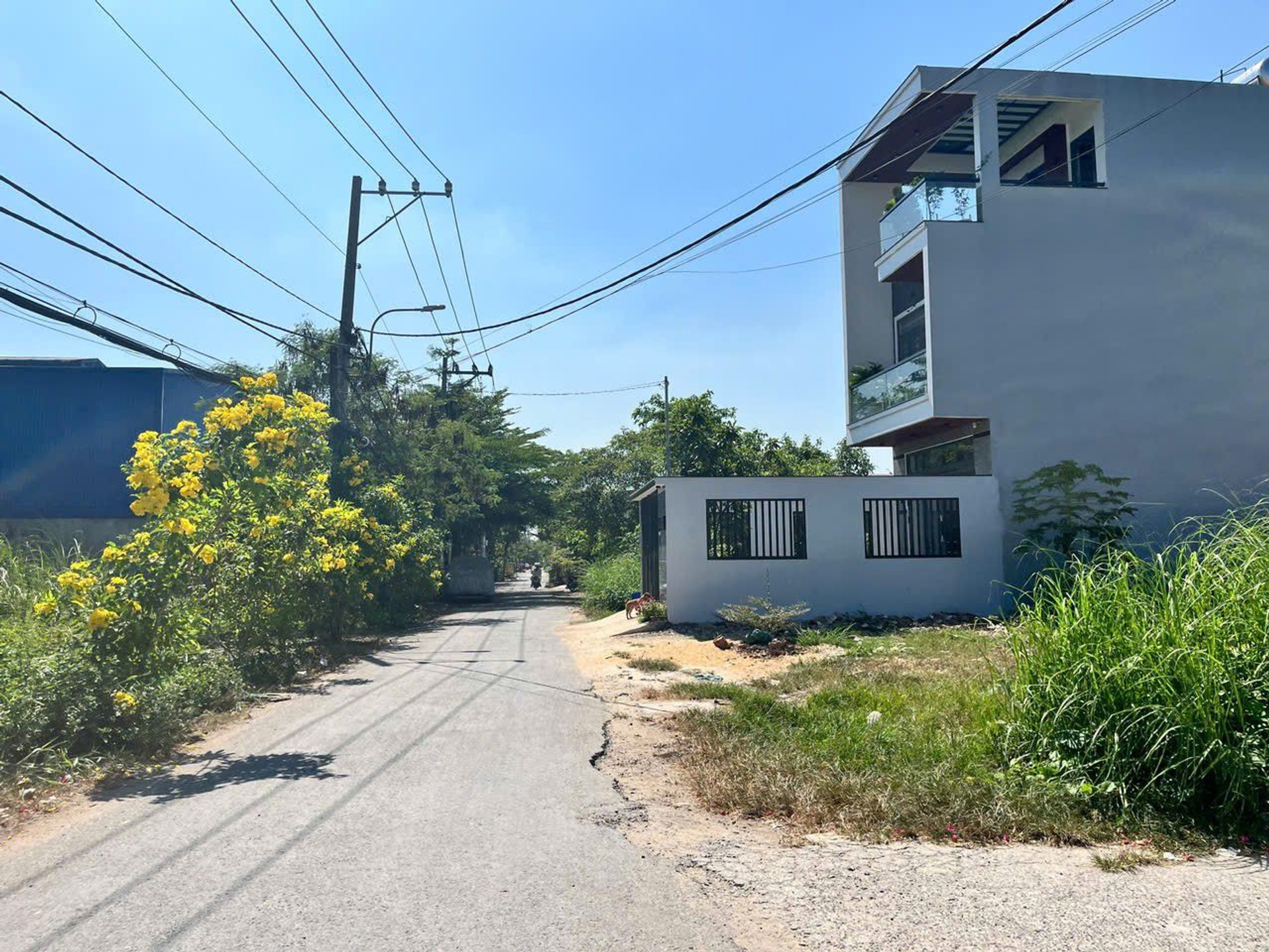 Bán đất MT Ngay Trần Văn Giàu Bình Chánh