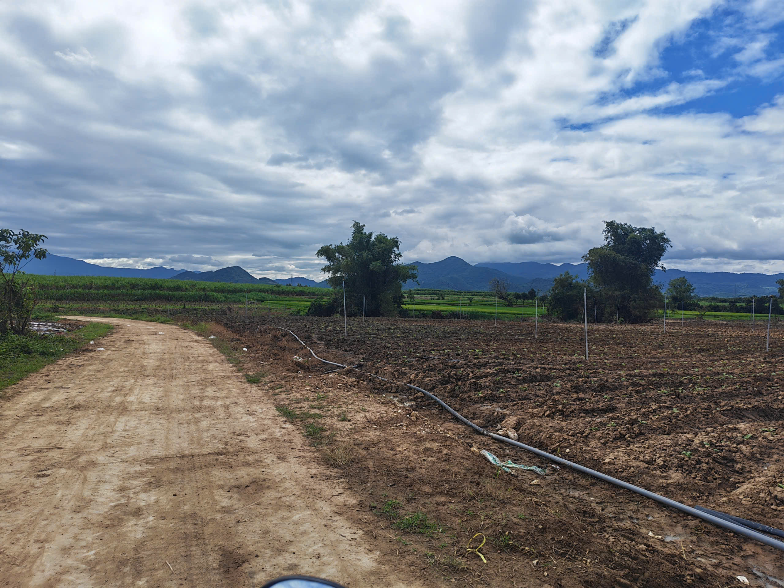 0938113403 Bán đất 5058.1m² giá 2.2 tỷ Xã Tây Ninh Hòa Z219