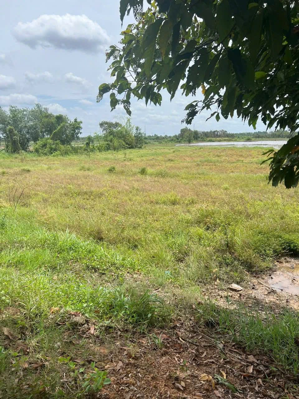 Bán đất vườn đường nhựa xã Thái Mỹ Củ Chi TPHCM, DT: 6200m2 , giá bán chỉ: 1,1 triệu/m2.