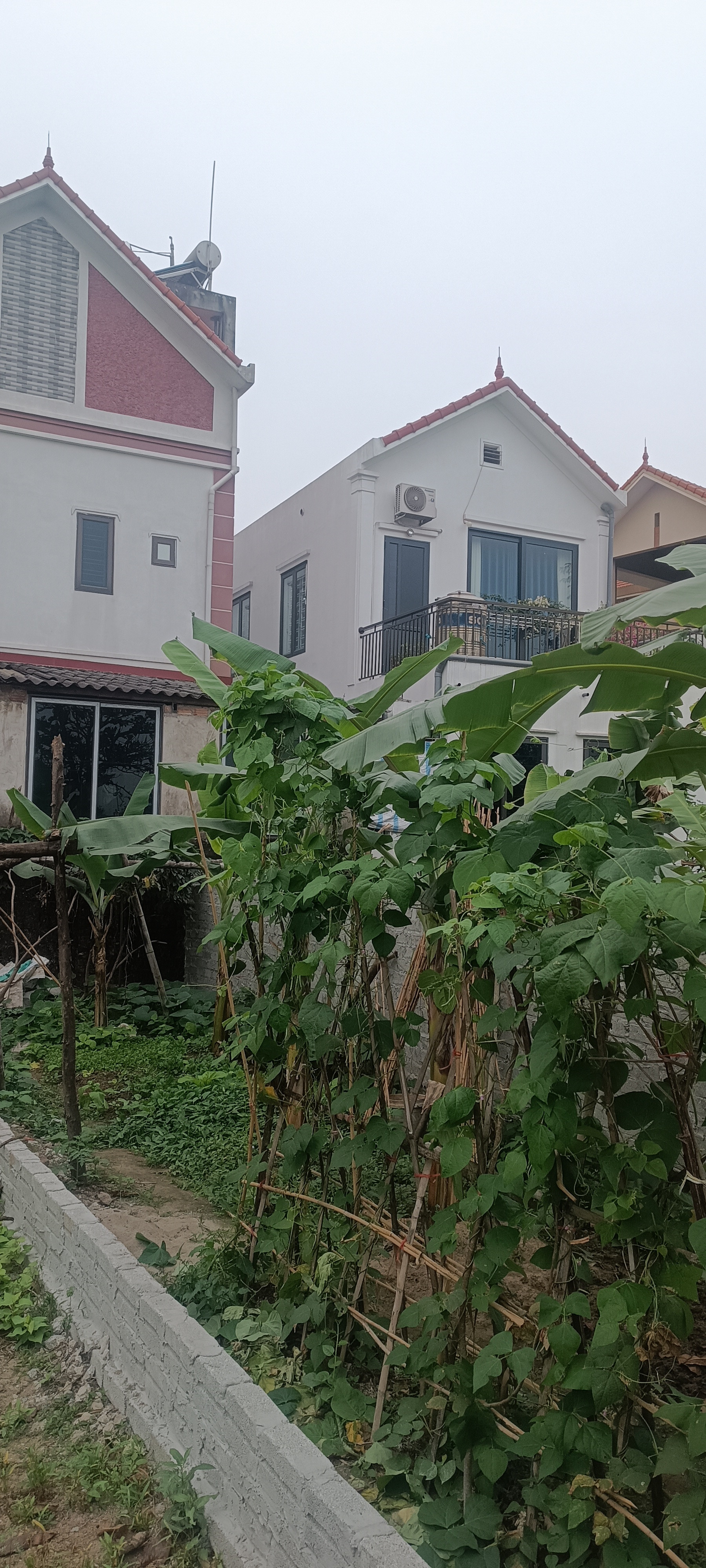 KHOÁI CẦU – THẮNG LỢI | 46M² – HƯỚNG ĐÔNG – KHU BIỆT THỰ