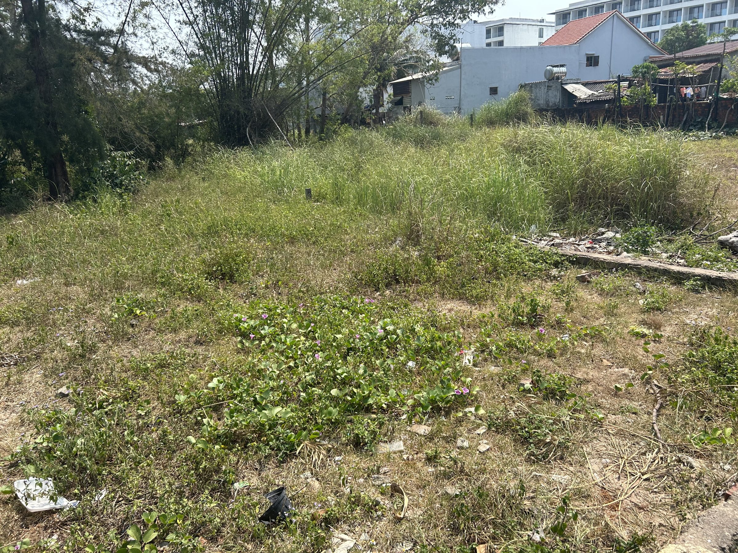Bán đất 1504.4m² có sẵn 300m² thổ cư ngang 30m giá 6.77 tỷ tại Xã Thăng Trường