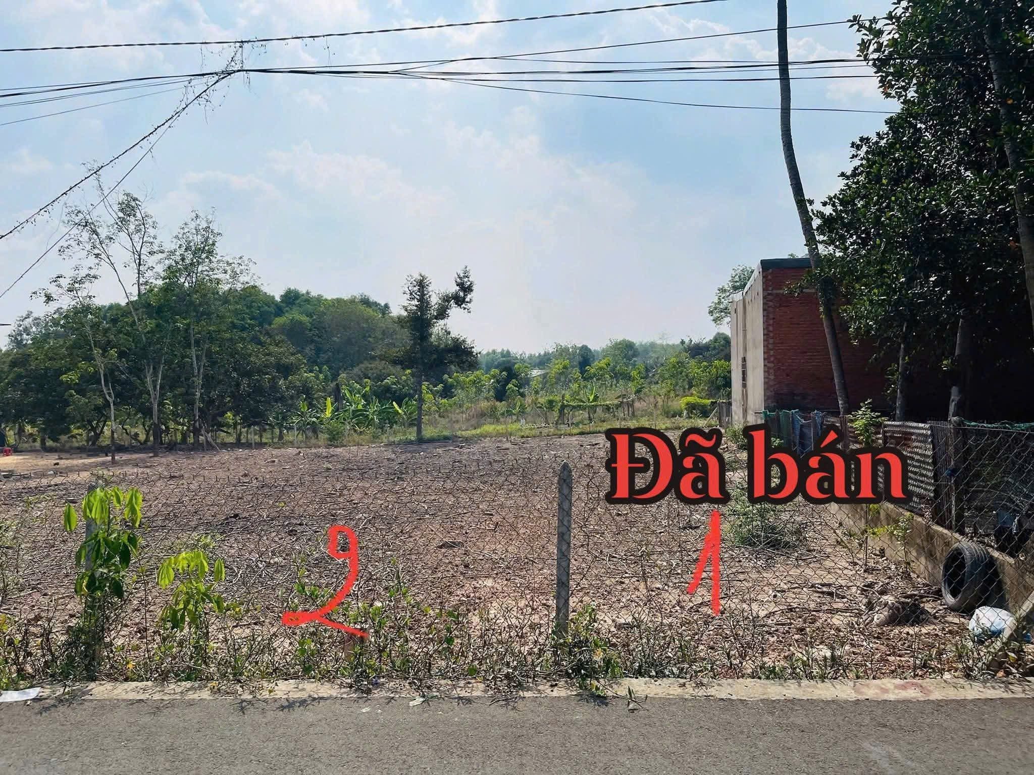 Bán đất 198.9m² có sẵn 100m² thổ cư ngang 5m giá 680 triệu tại Xã Thanh An tphcm