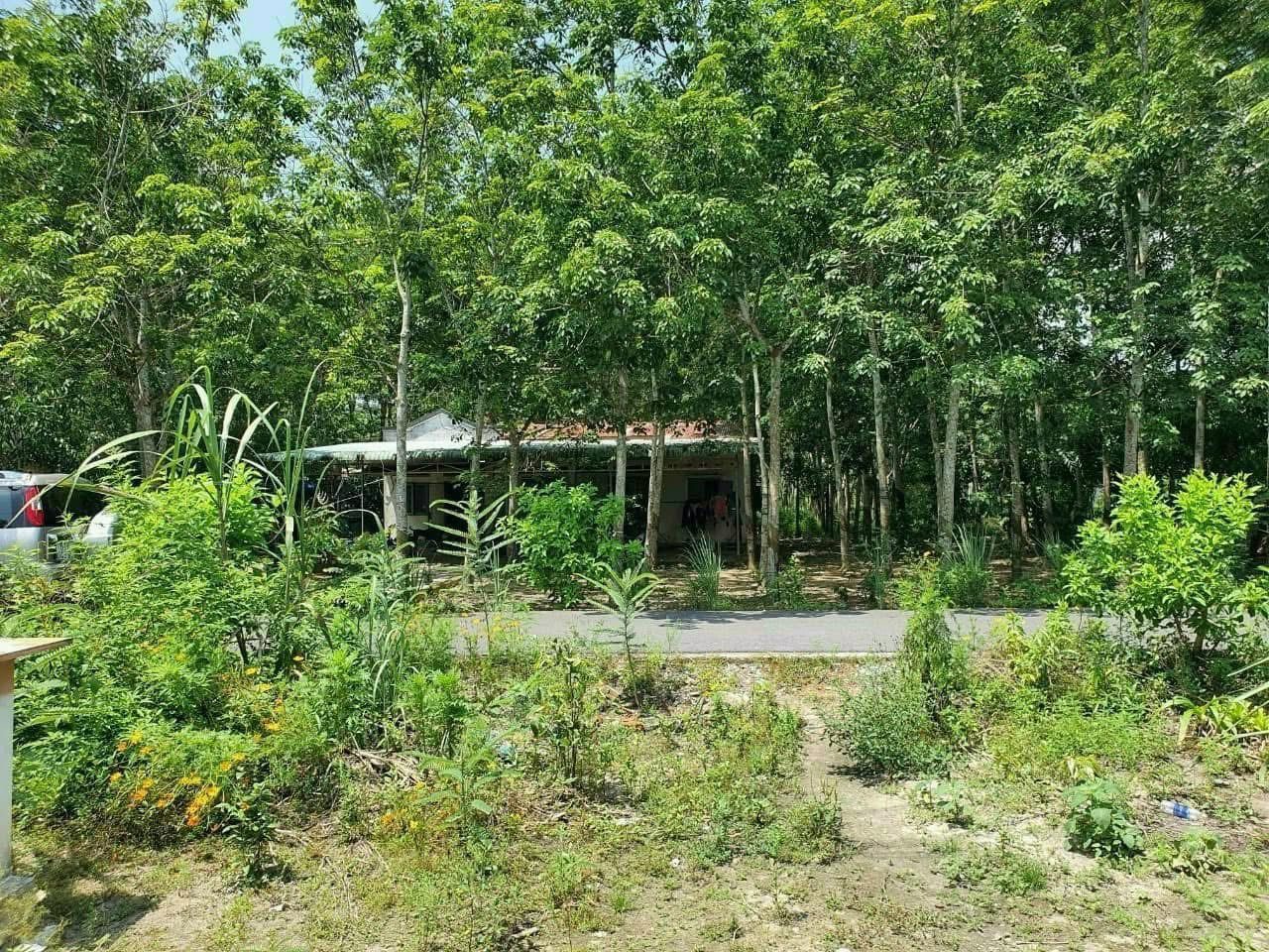 Bán đất xã Thanh An (Dầu Tiếng cũ), 351.4 m2