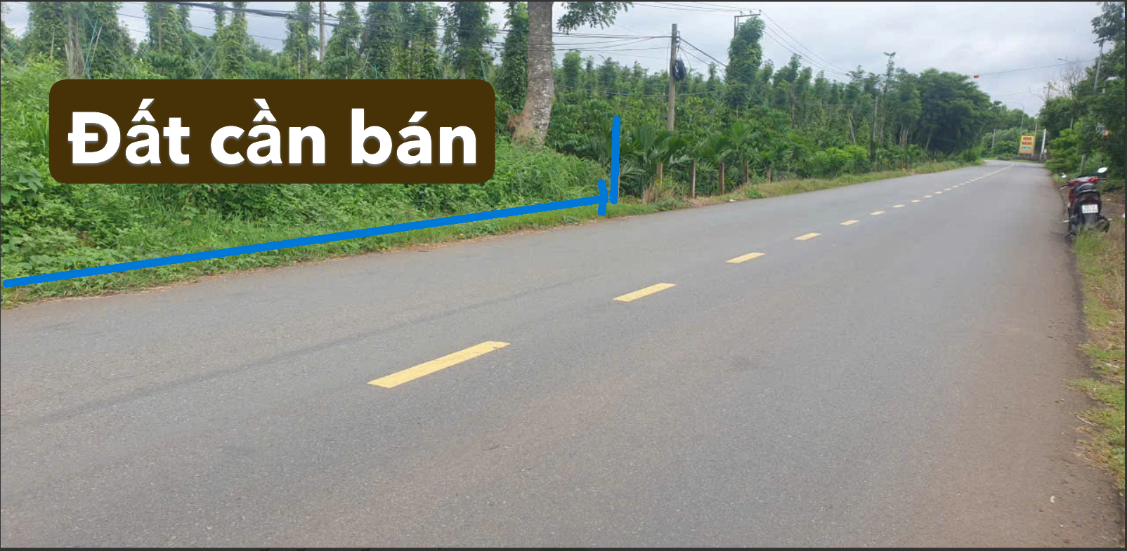 Bán Đất 7300m² thổ cư 50m² giá 18 tỷ tại Xã Thanh An TP. Hồ Chí Minh