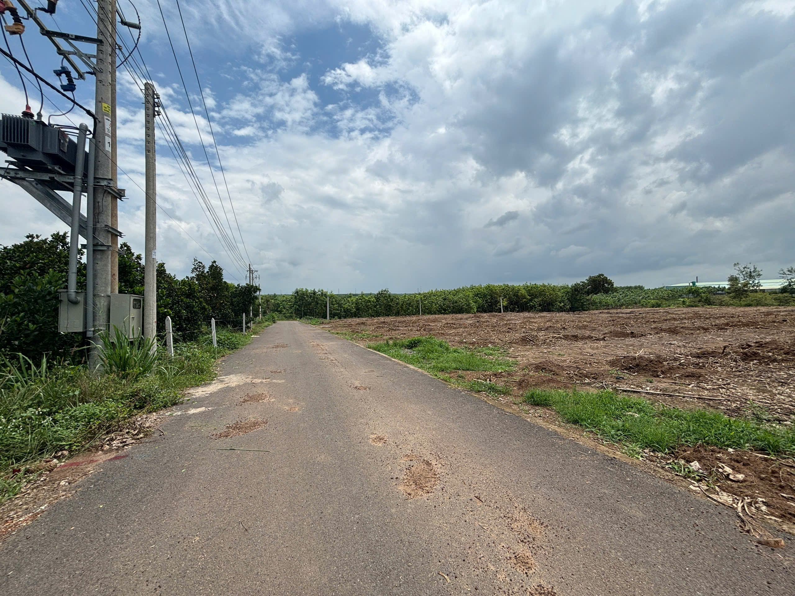 Cần Bán Đất 400m² thổ cư 100m² giá 700 triệu tại Xã Thanh An TP. Hồ Chí Minh