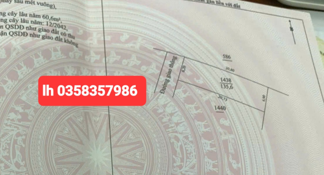 Bán đất 135.6m² ngang 6.2m giá 450 triệu Xã Thành Công