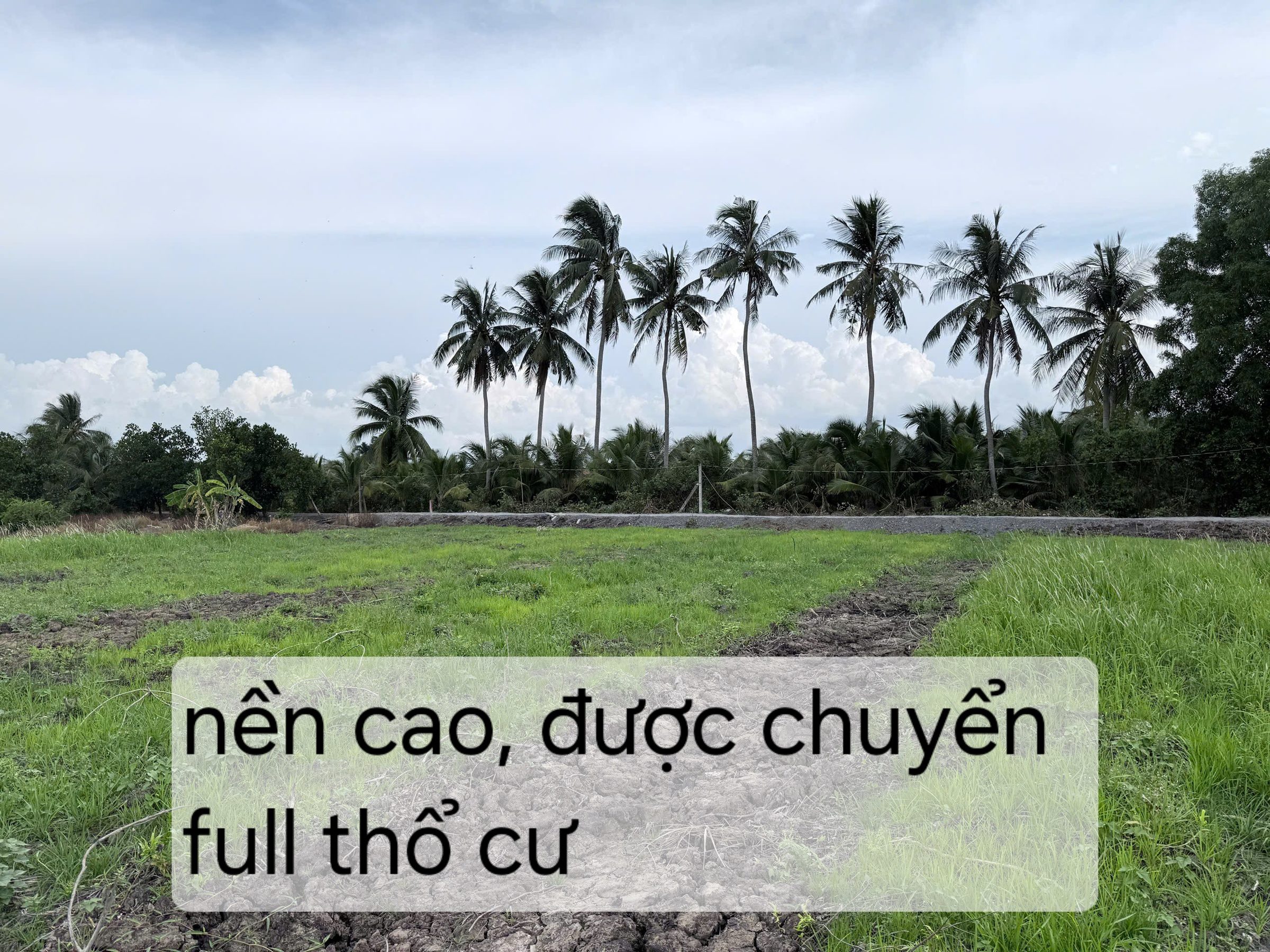Bán Đất 700m2 qui hoạch full thổ cư giá 630 triệu tại - Chọn - Xã Thạnh Hòa Huyện Bến Lức Long An