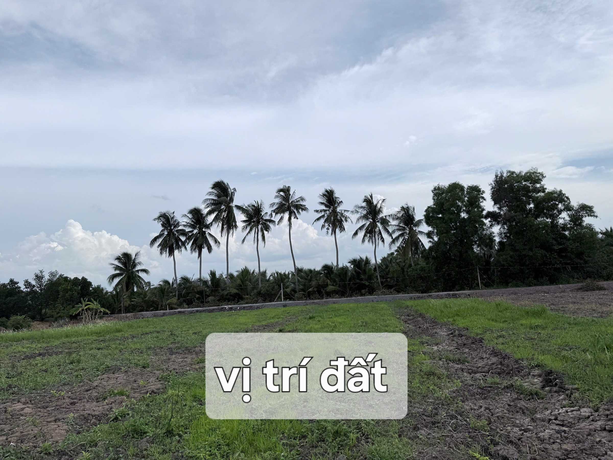 Bán Đất 700m2 qui hoạch full thổ cư giá 630 triệu tại - Chọn - Xã Thạnh Hòa Huyện Bến Lức Long An