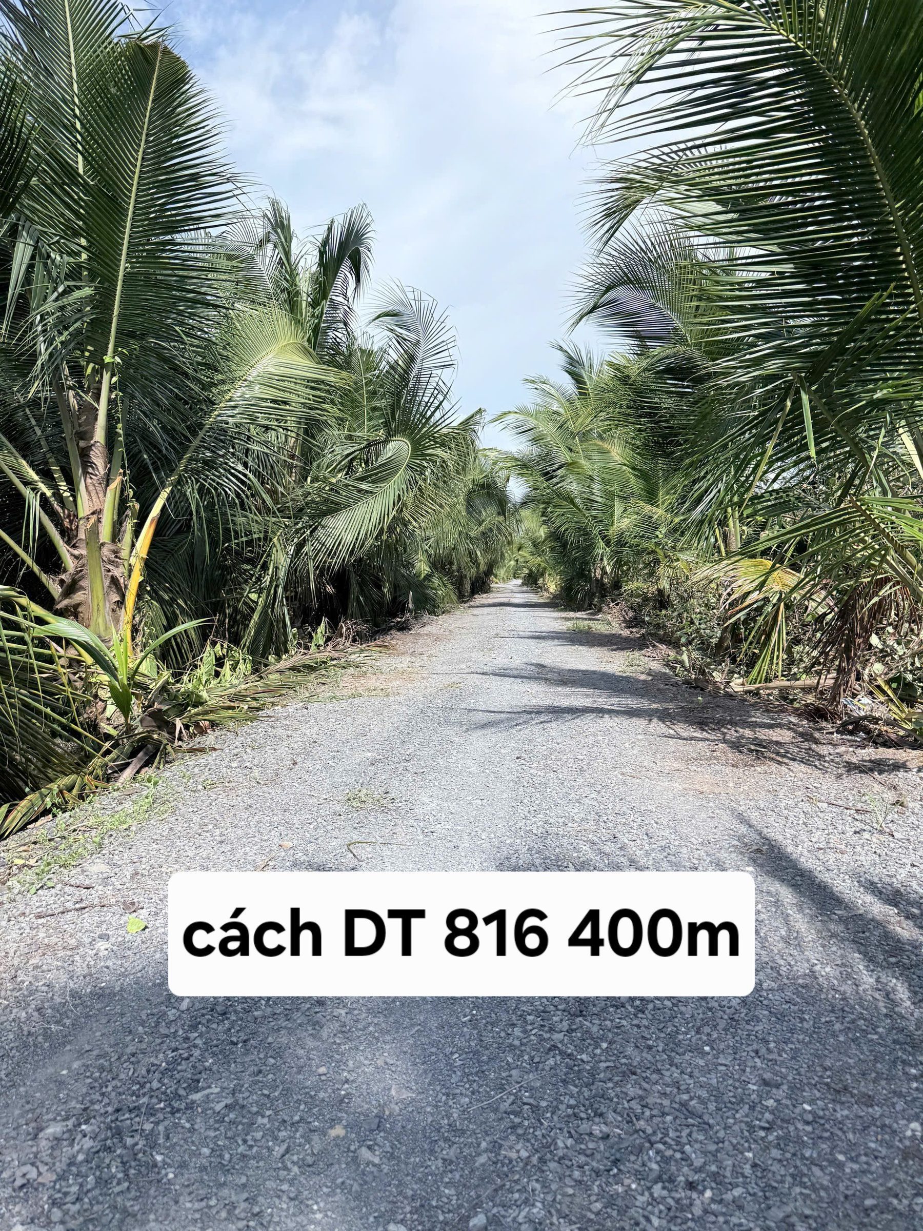 Bán Đất 700m2 qui hoạch full thổ cư giá 630 triệu tại - Chọn - Xã Thạnh Hòa Huyện Bến Lức Long An