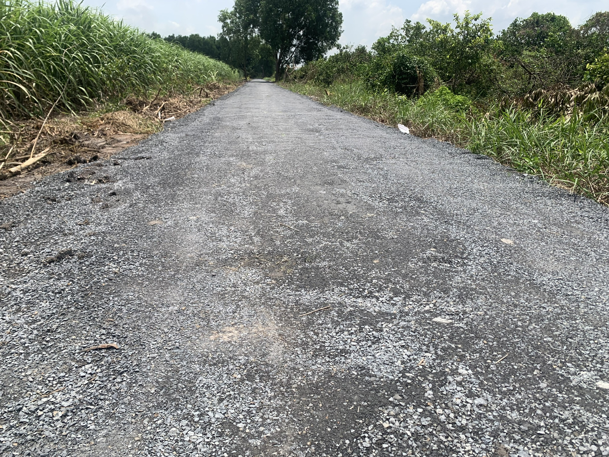 Bán Đất 500m2 giá 345 triệu tại - Chọn - Xã Thạnh Lợi Huyện Bến Lức Long An
