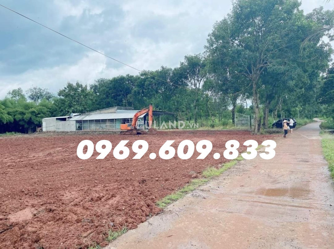 Bán đất 600m² 295 triệu tại Xã Thanh Lương Thị xã Bình Long