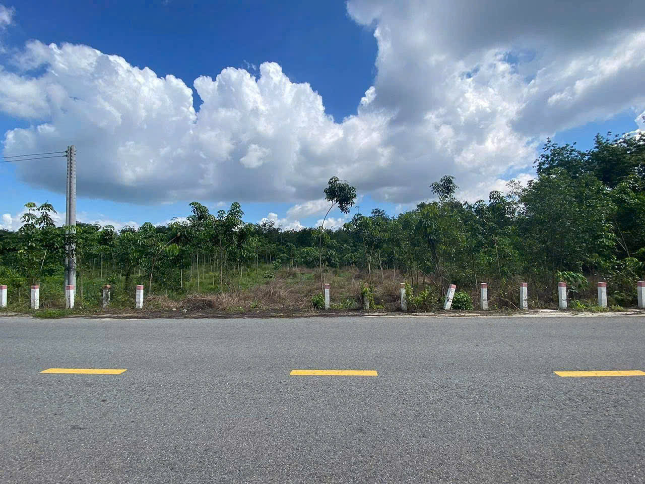 Bán đất 1966.6m² giá 190 triệu tại Xã Thanh Lương Thị xã Bình Long LH: 0931.783.209_C. Huyền