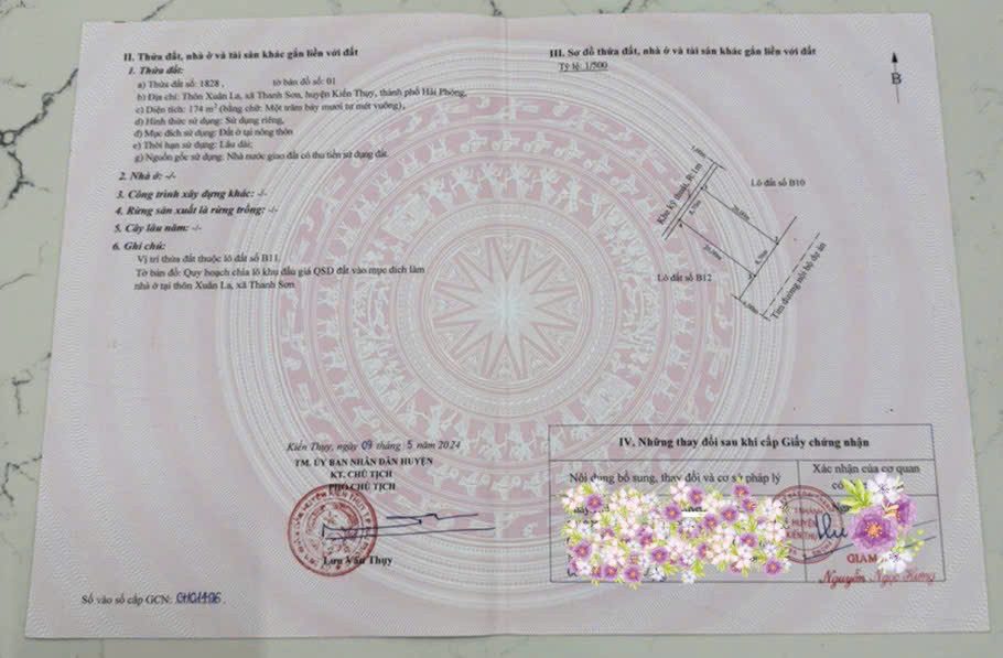 5KT174B11 🔥 HÀNG ĐẤU GIÁ ĐẸP THANH SƠN – GĐ1 | B11 – B12 🔥