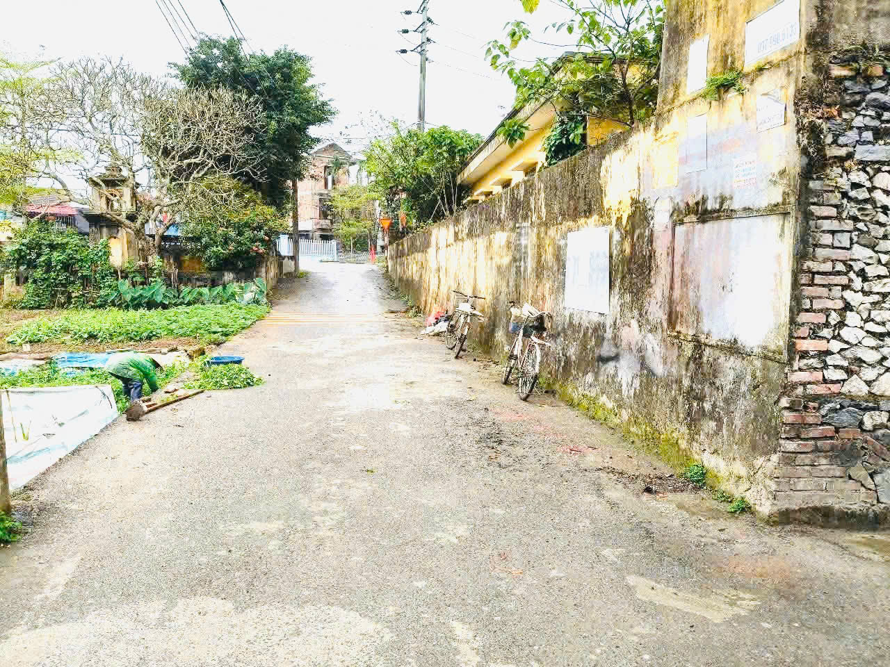 bán lô đất đẹp tại Thanh Nộn, Thanh Sơn 👉nay về phường Lý Thường Kiệt, Tỉnh Ninh Bình
