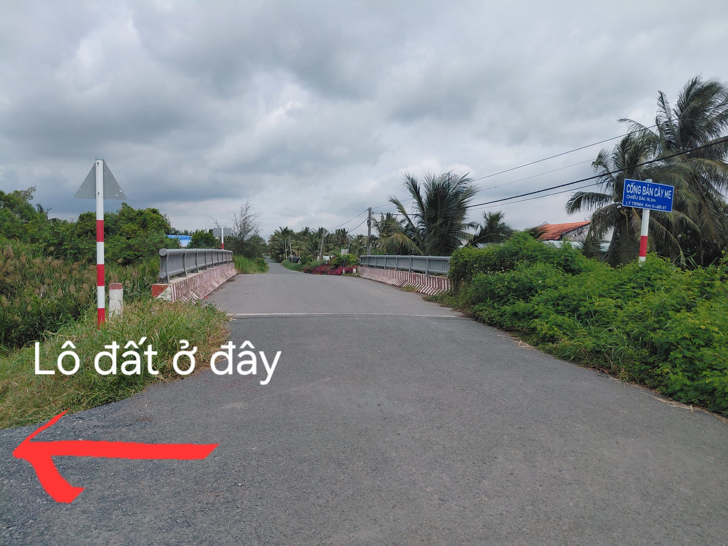 Chính chủ cần bán đất vườn dừa tơ đang cho trái