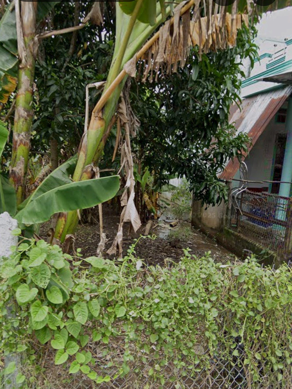 Bán đất 1504.6m² giá 2 tỷ Xã Thạnh Xuân