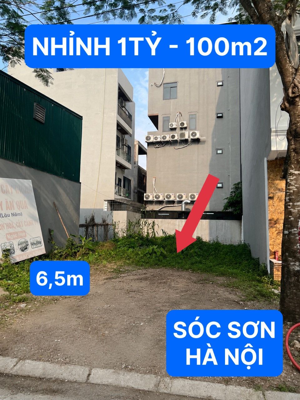 Con em chưa đủ 18t đã có bầu đang cần tiền khởi kiện nên ban nhanh mảnh đất này diện tích 100m2 mặt tiền 6,5m.