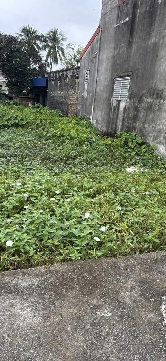06.2026. bán 110m2 thiên hương. giá chỉ 1,5 tỷ. liên hệ 0362558882.