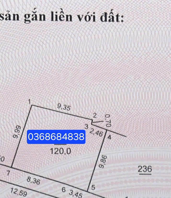 Bán đất 120m² full thổ cư ngang 11.8m giá 8.6 tỷ tại Xã Thiên Lộc