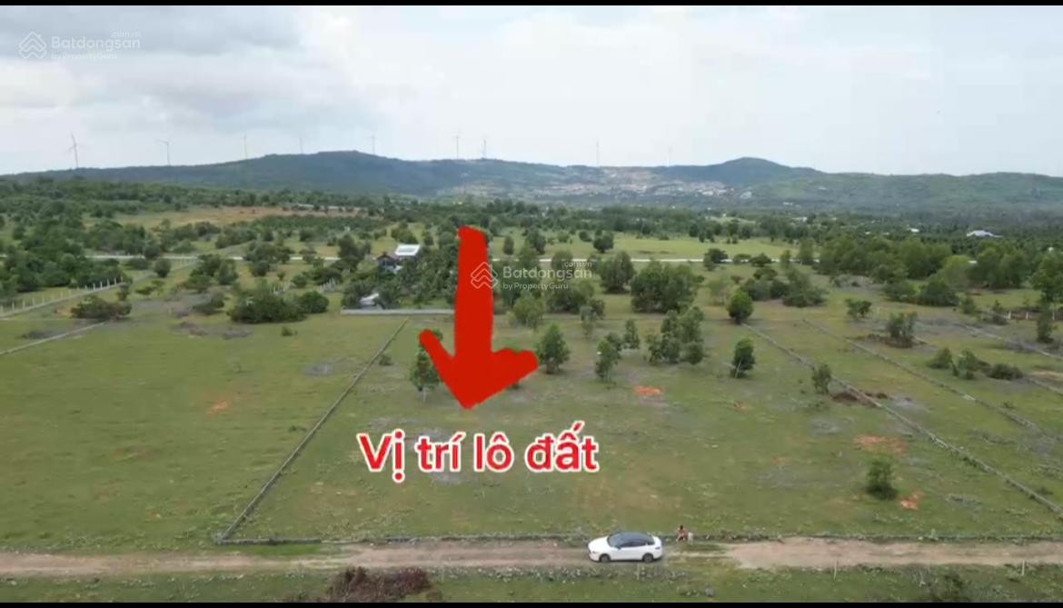 Bán 1000m2 có 300 thổ cư lô hai Trần Bình Trọng. LH: 0974090487