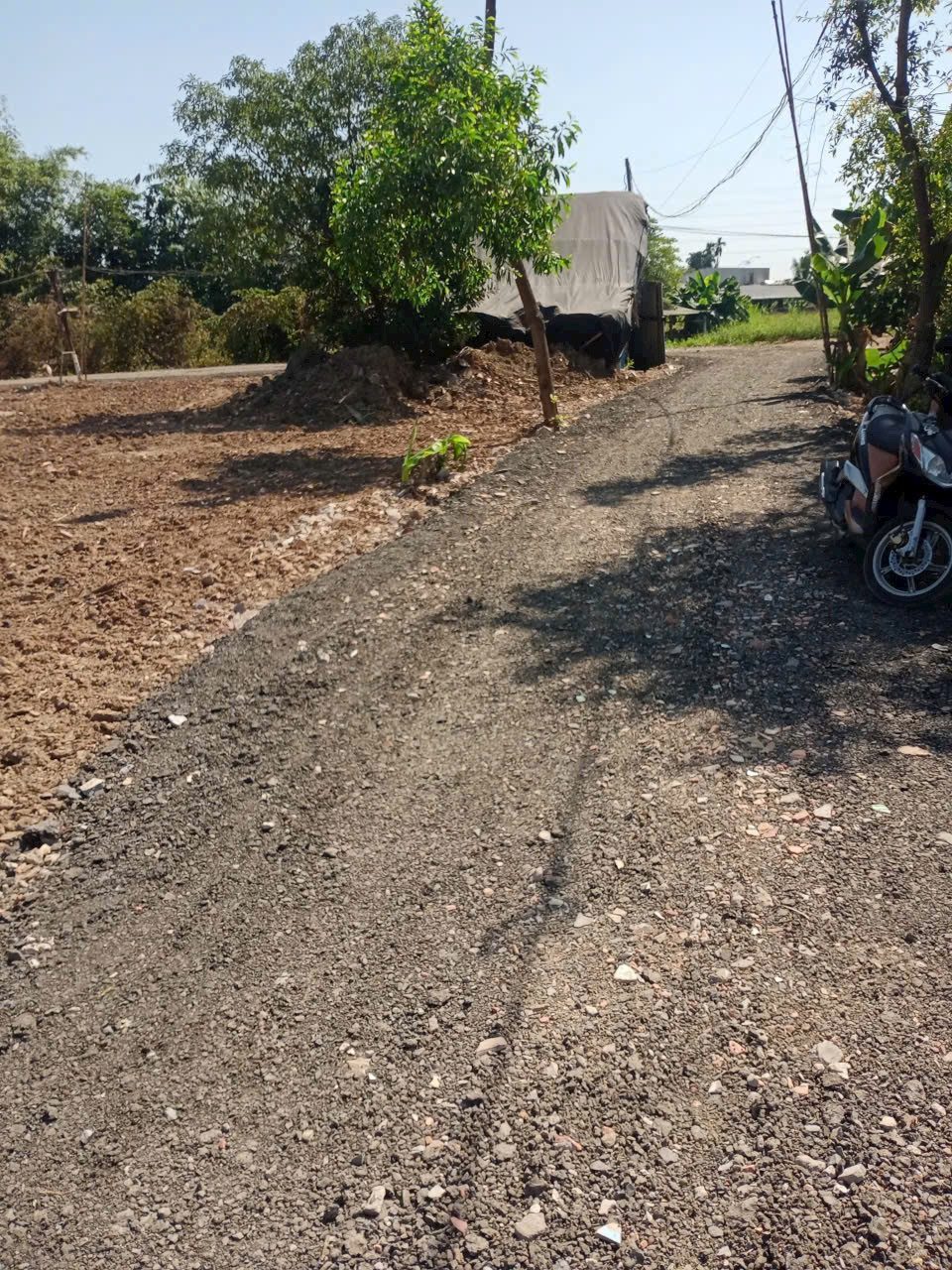 🌳 ĐẤT NHÀ VƯỜN – ĐÔNG THẠNH, HÓC MÔN
