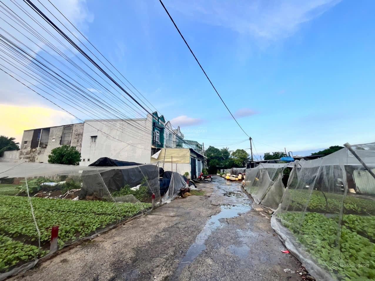 Bán Đất 240m2 có sẵn 240 m2 thổ cư giá 5.3 tỷ tại Xã Thới Tam Thôn Huyện Hóc Môn TP. Hồ Chí Minh