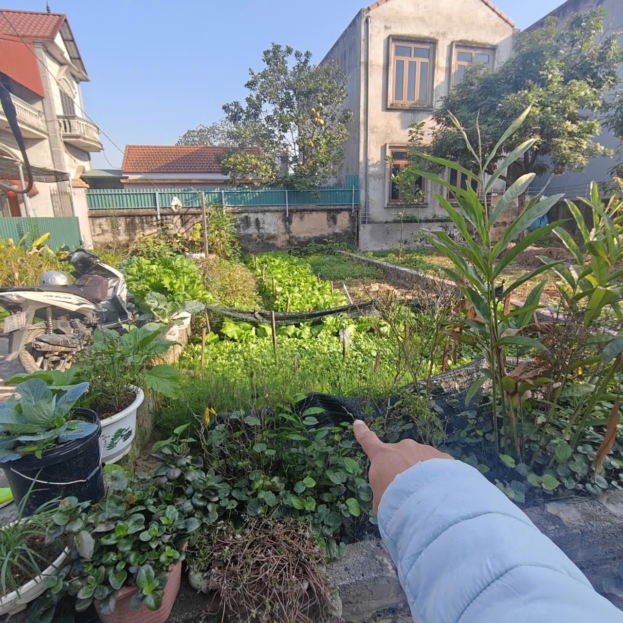 49,5M PHÚC TRẠCH – THỐNG NHẤT | Ô TÔ VÀO – GẦN TRỤC CHÍNH