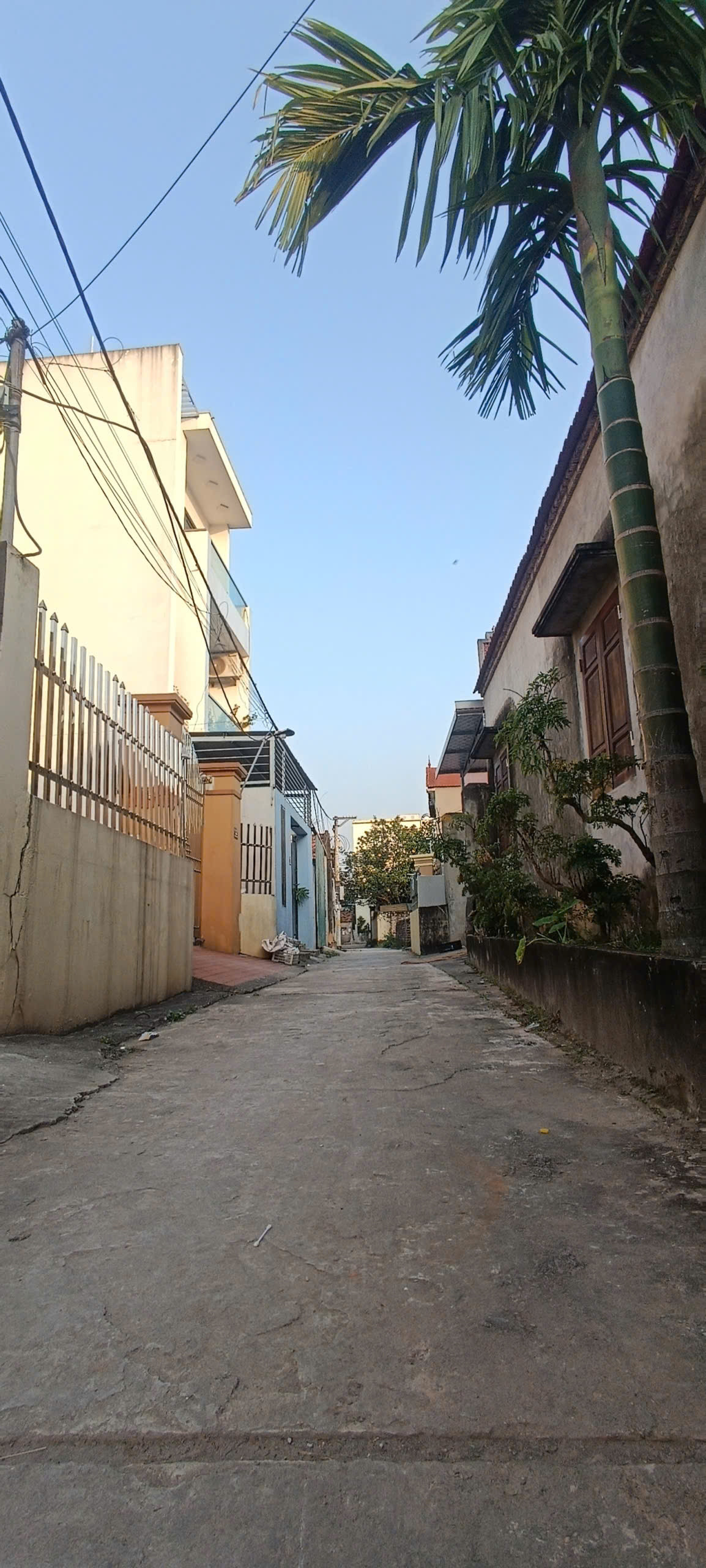 📈 ĐẤT PHÚC TRẠCH – ĐẦU TƯ AN TOÀN, THANH KHOẢN TỐT | 49,5M - 1,88 TỶ