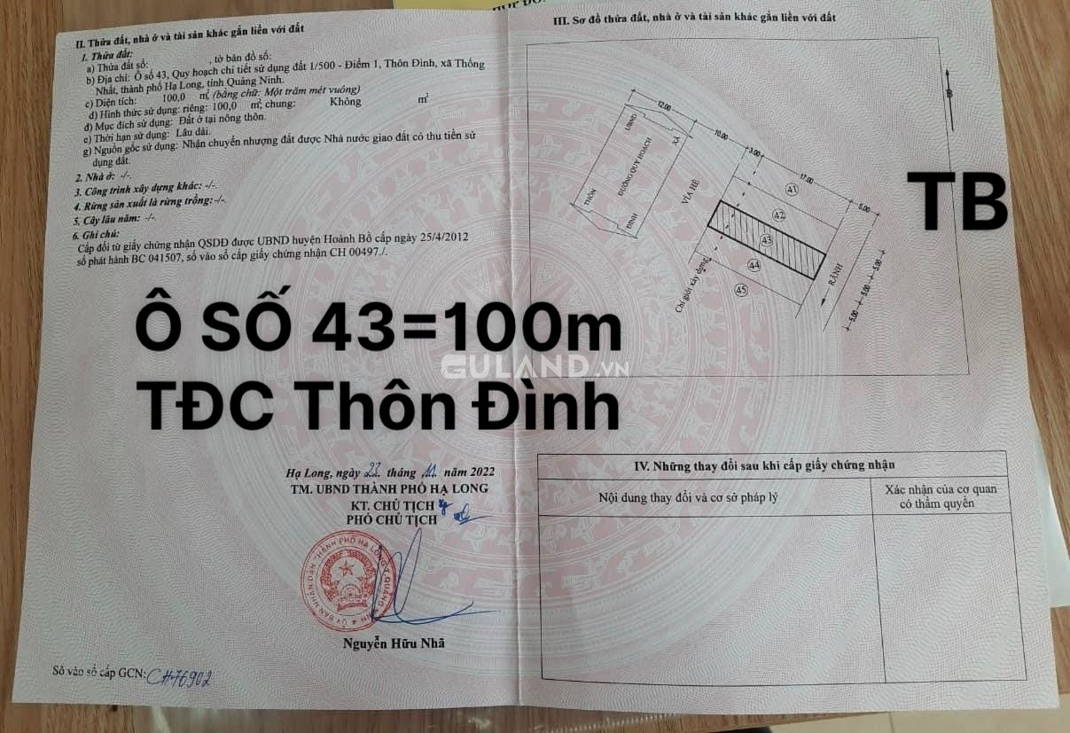 Đất TĐC Thôn Đình - Thống Nhất