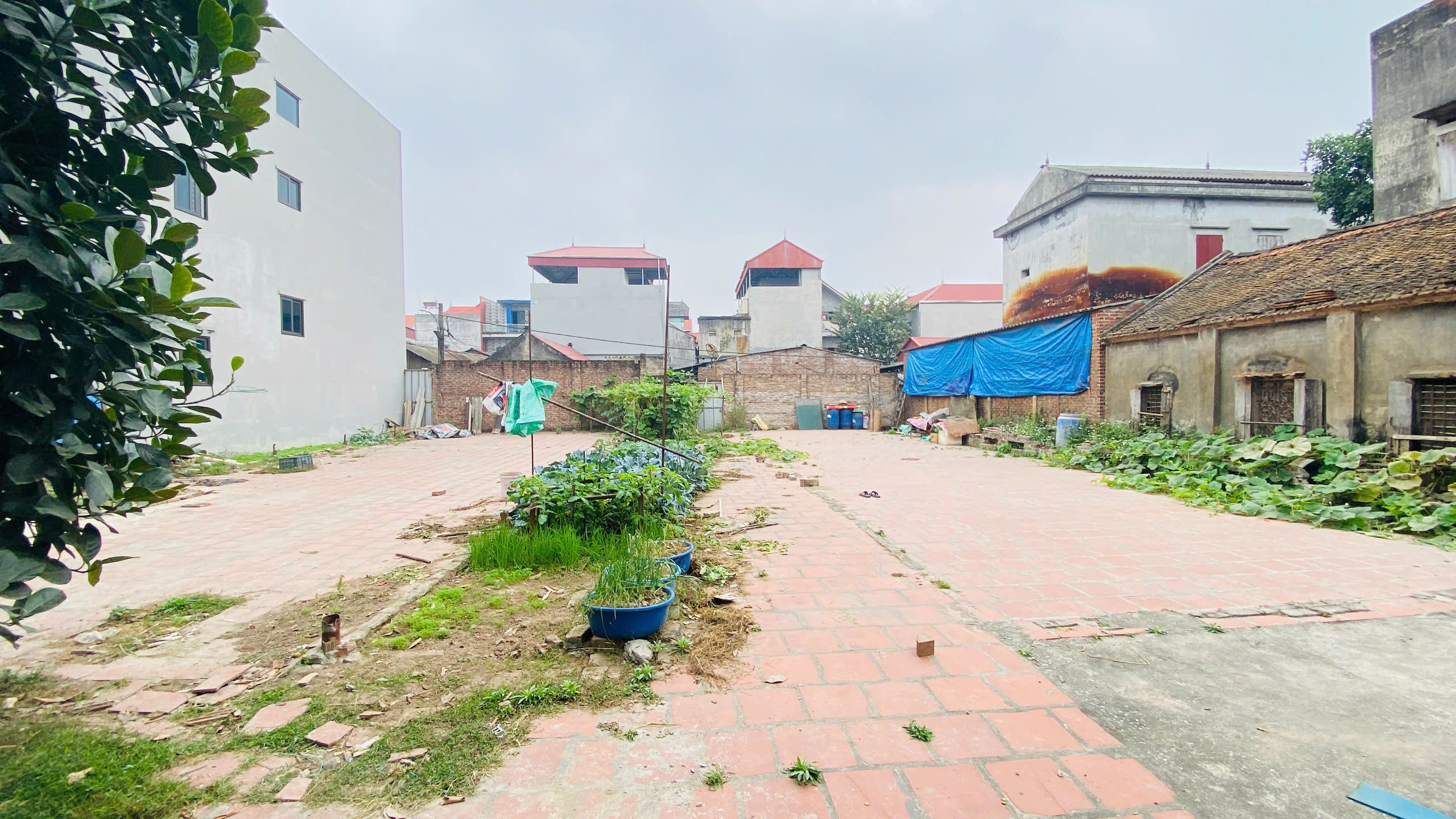 Bán đất Hà Lâm 3 Thụy Lâm Đông Anh HN đường ô tô thông full thổ cư giá chỉ 57tr.m2