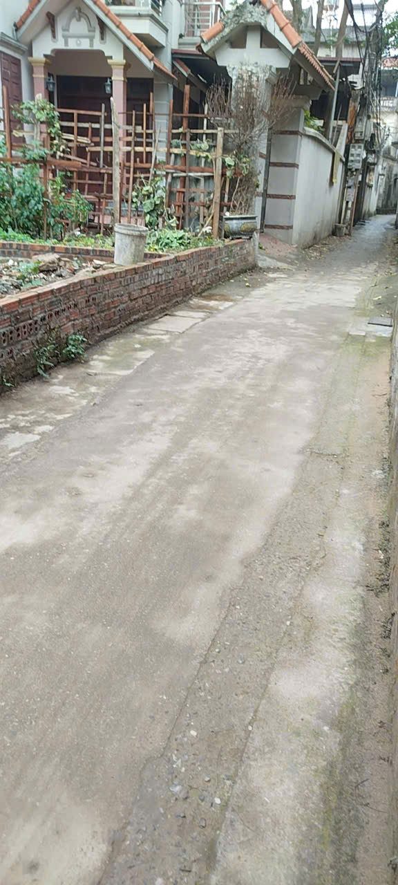 Bán đất Thiết Bình Đông Anh 61m giá chỉ hơn 3 tỷ full thổ cư đẹp