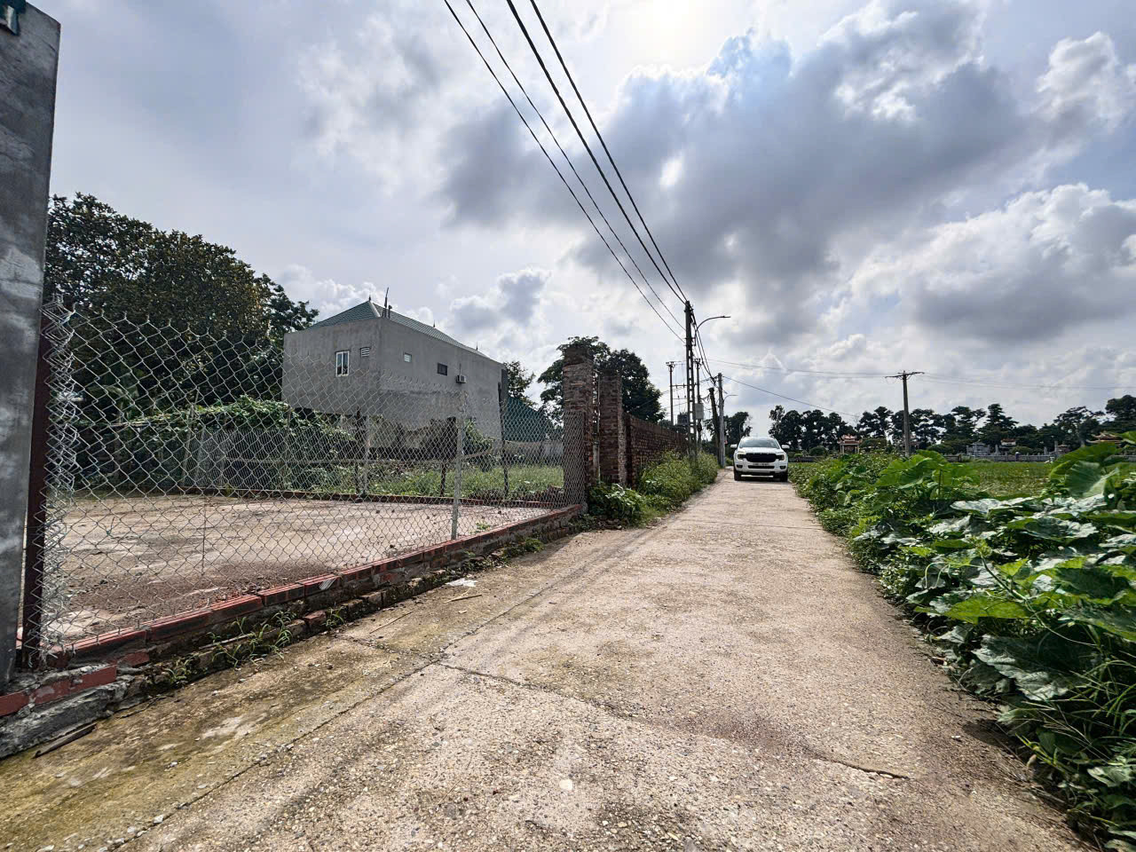 Bán 100m2 đất Bìa Làng Biểu Khê xã Thư Lâm quy hoạch rộng 14m siêu đẹp