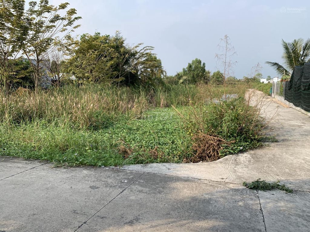 CHÍNH CHỦ KẸT TIỀN CẦN BÁN GẤP ĐẤT TÂY NINH – 545M²