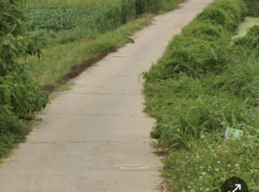 Đất tại Đông Cao, Quảng Oai, Hà Nội pháp lý rõ ràng, sẵn sổ hồng sang tên.