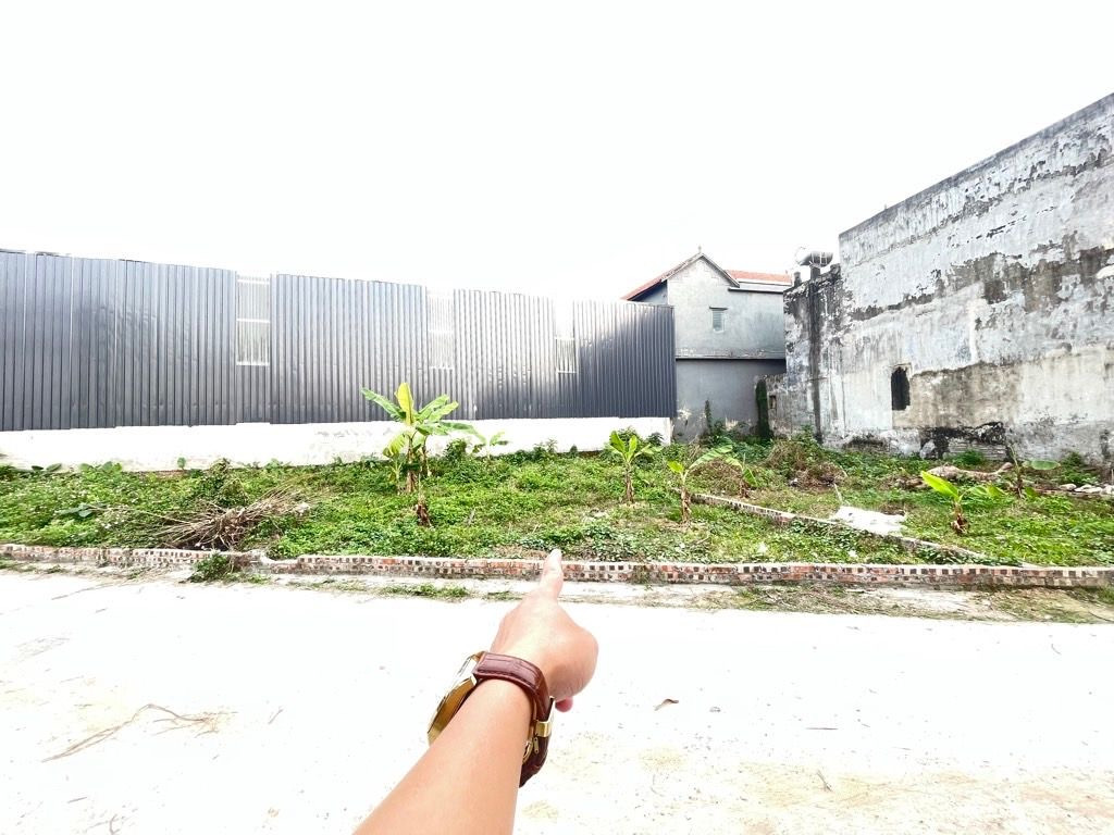 Bán 85 m Thổ Cư View Bìa Đồng  Tại Dược Hạ - Tiên Dược  Đường Ô tô Tránh