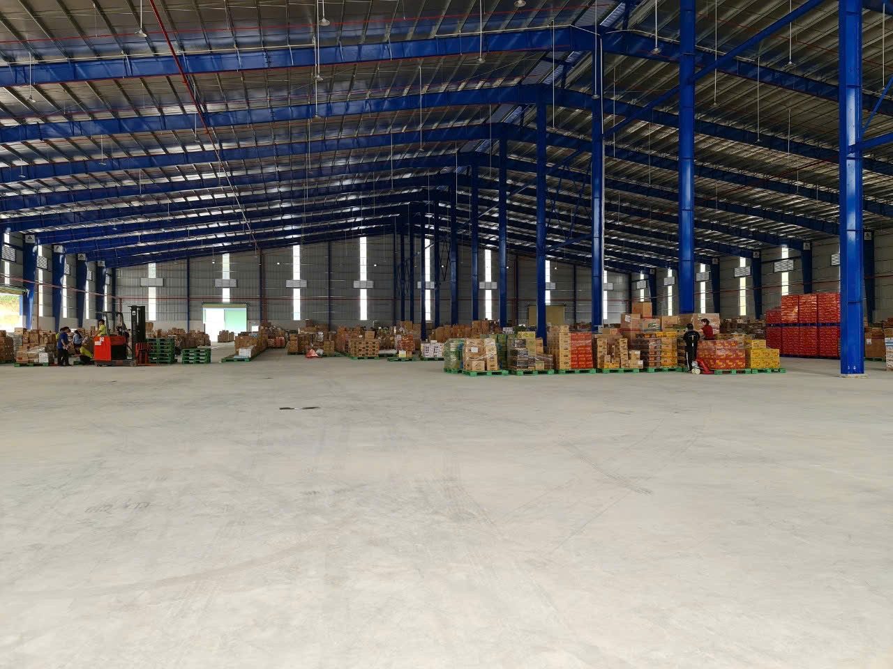 Nhà xưởng Đồng Xoài Bình Phước, 2000m2, 2800m2, 3500m2, 4700m2, 7000m2, cho thuê giá rẻ tại khu vực, pccc đầy đủ