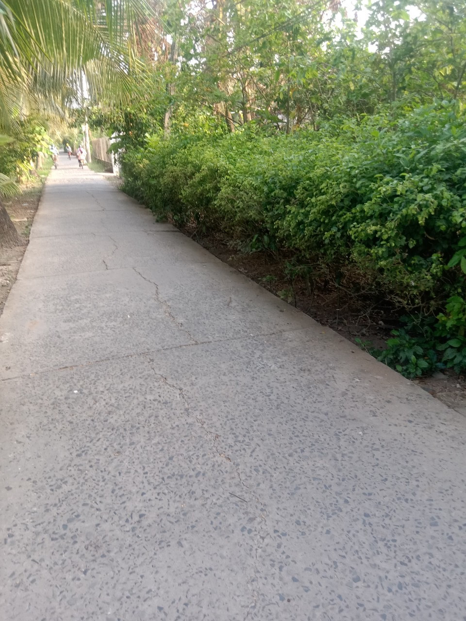 Bán đất 1644.6m² có sẵn 300m² thổ cư ngang 57m giá 4.99 tỷ tại Xã Tiên Thủy